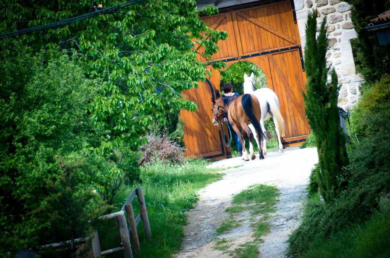 Le Petit Rias Gite Soleil Saint Maurice en Chalencon Exterior foto